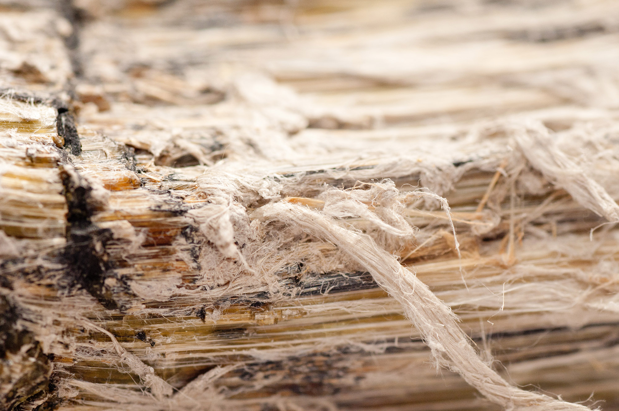 Asbestos Claims Solicitors Bristol, lung cancer claims, mesothelioma